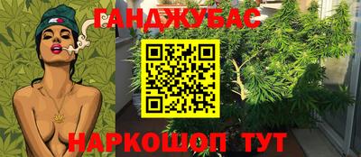 шишки Ипатово